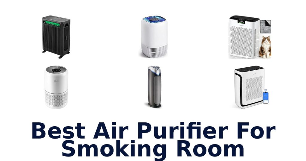 Best Air Purifier For Smoking Room