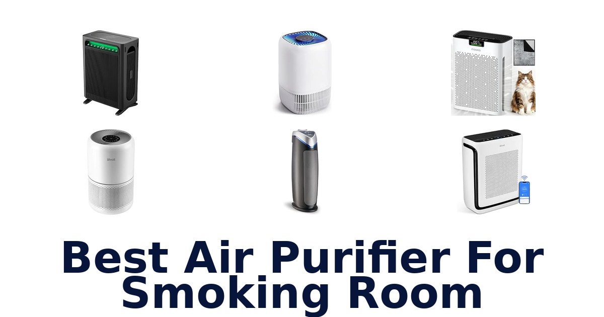 Best Air Purifier For Smoking Room