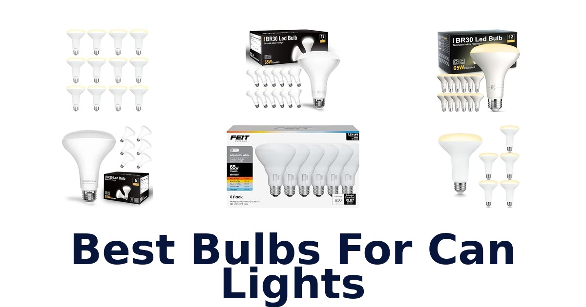 Best Bulbs For Can Lights