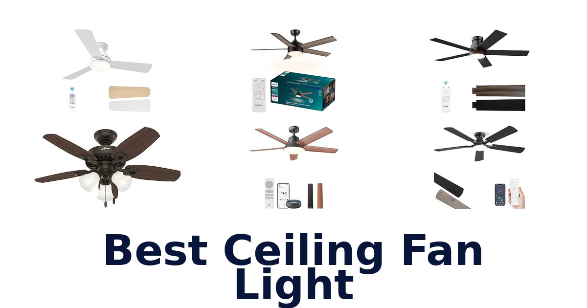Best Ceiling Fan Light