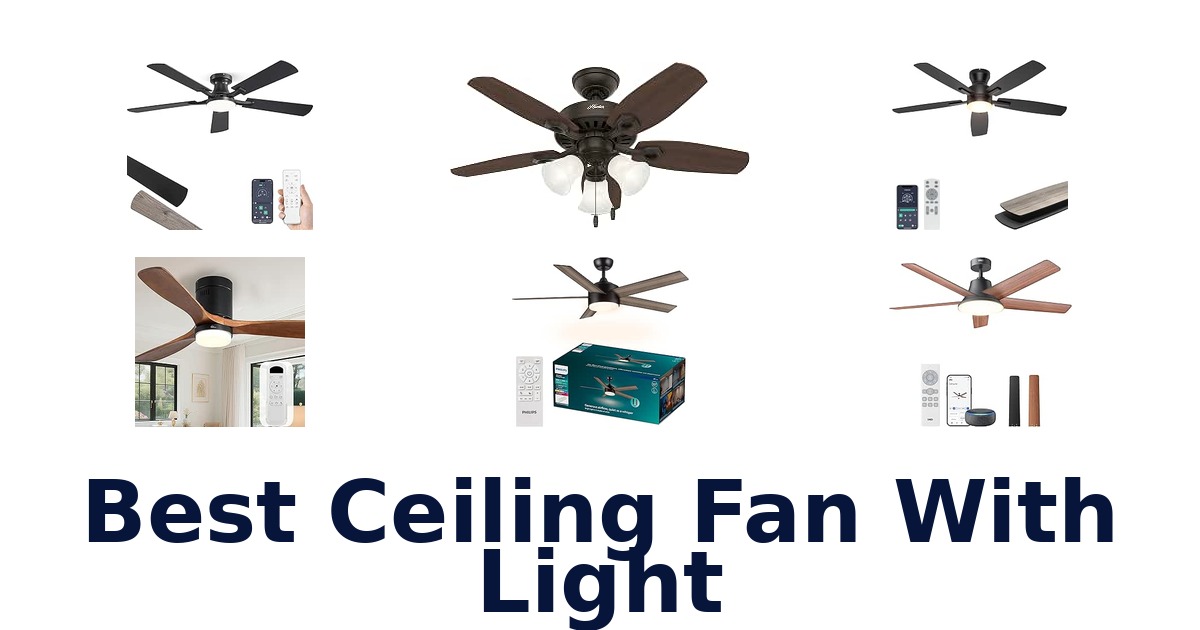 Best Ceiling Fan With Light