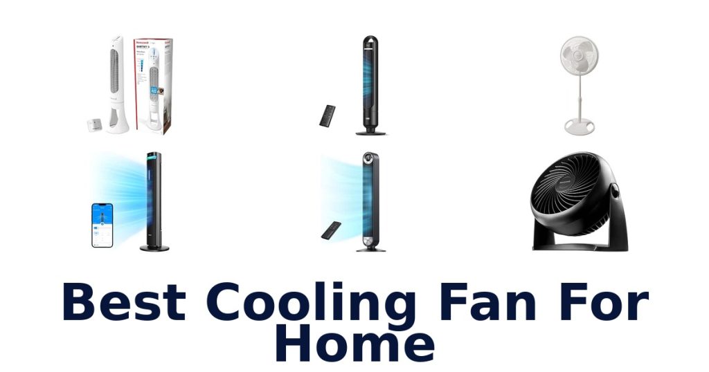 Best Cooling Fan For Home