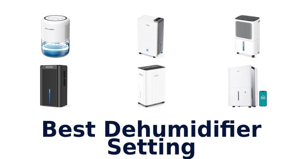 Best Dehumidifier Setting