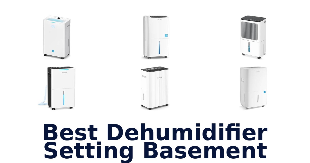Best Dehumidifier Setting Basement