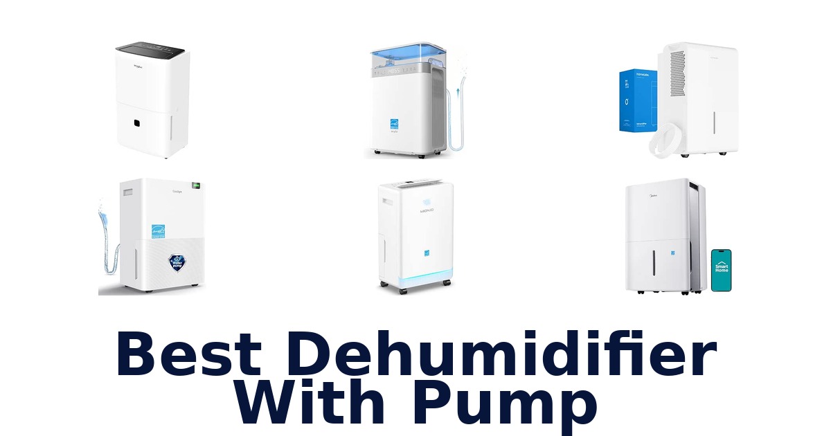Best Dehumidifier With Pump