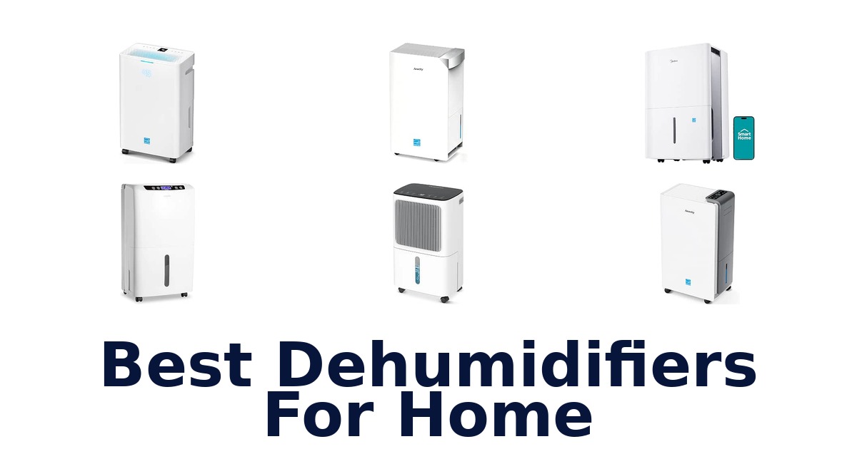 Best Dehumidifiers For Home
