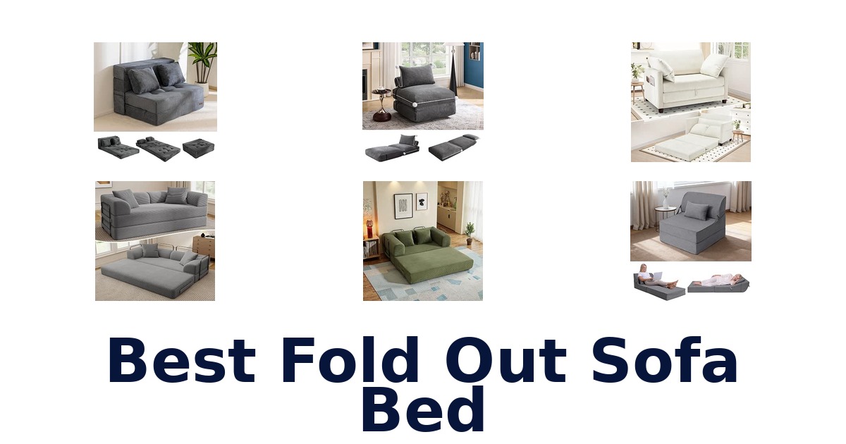 Best Fold Out Sofa Bed