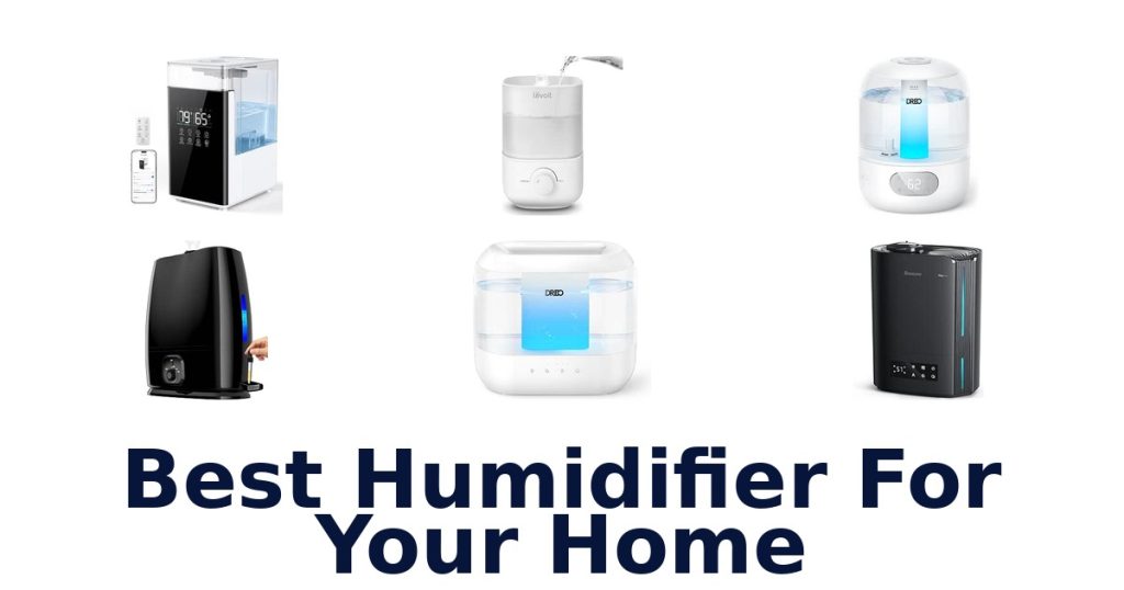 Best Humidifier For Your Home