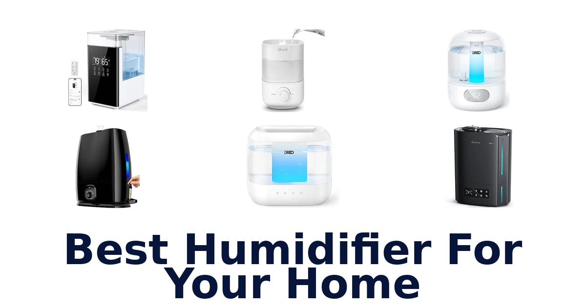 Best Humidifier For Your Home