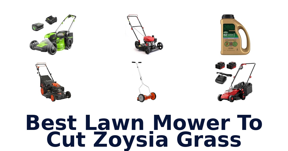 Best Lawn Mower To Cut Zoysia Grass