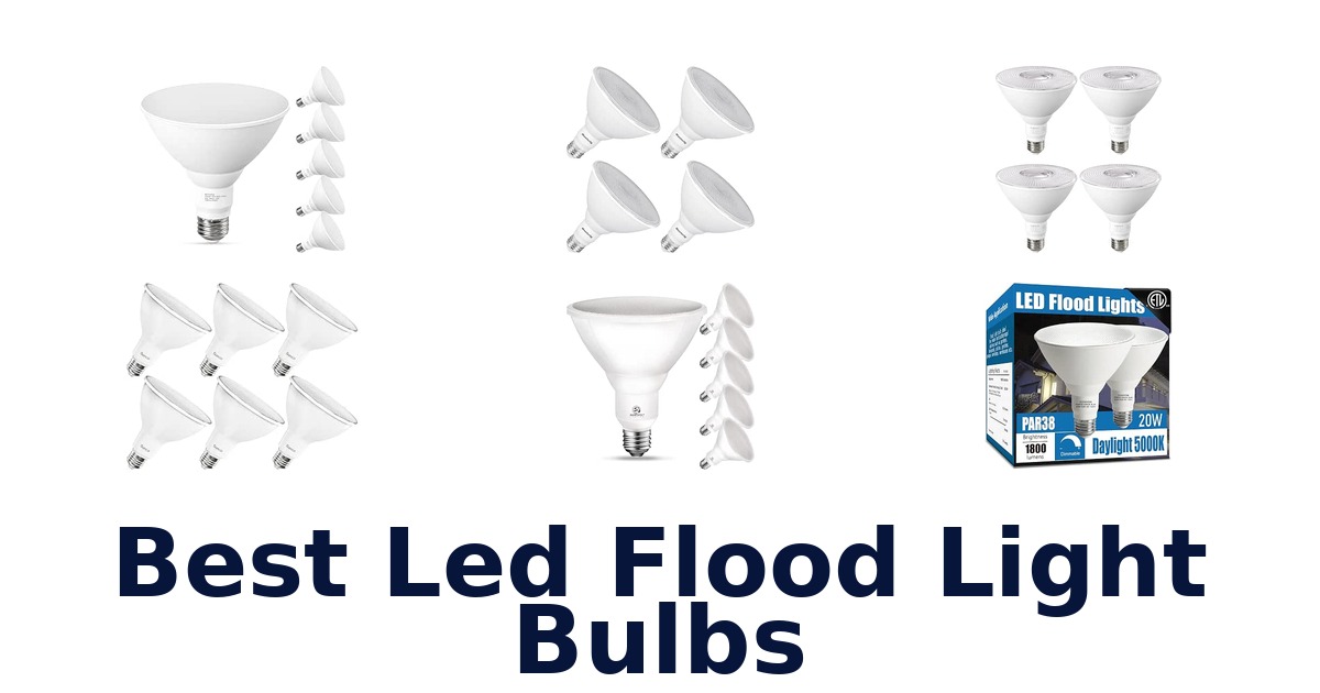 Best Led Flood Light Bulbs