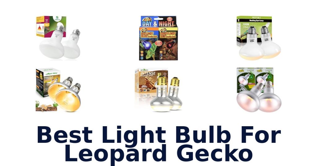 Best Light Bulb For Leopard Gecko