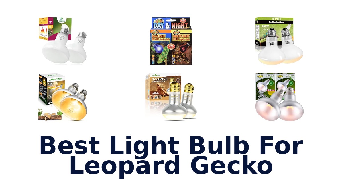 Best Light Bulb For Leopard Gecko