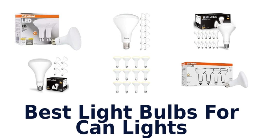 Best Light Bulbs For Can Lights