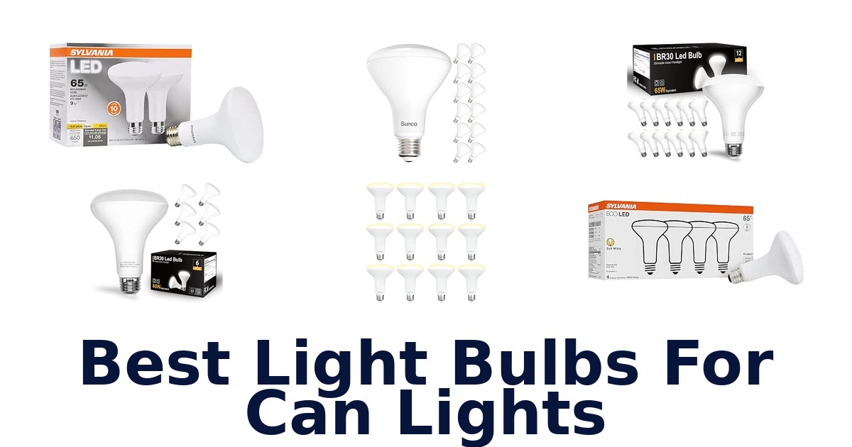 Best Light Bulbs For Can Lights