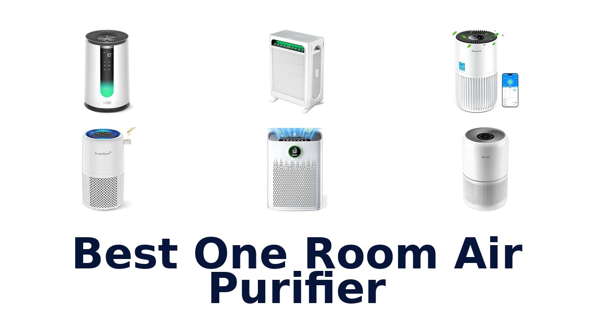 Best One Room Air Purifier