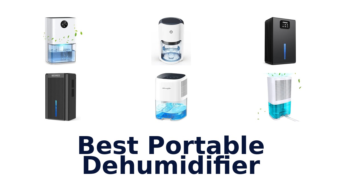 Best Portable Dehumidifier