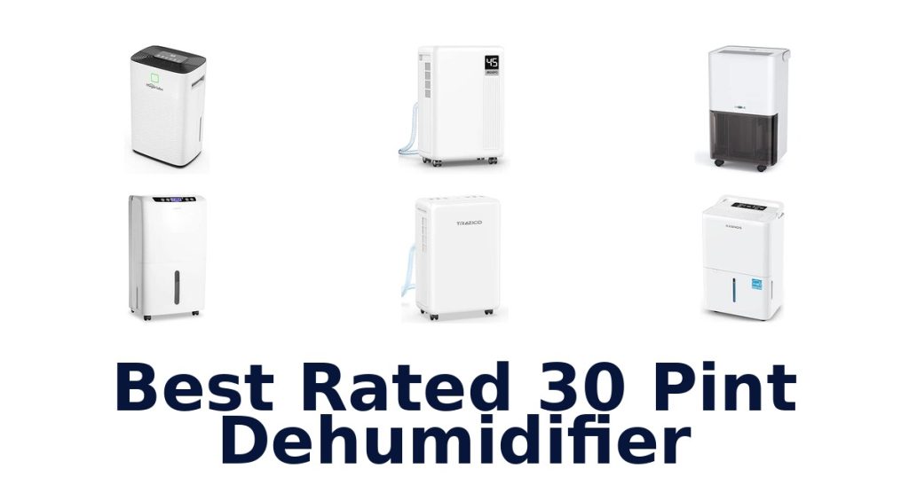 Best Rated 30 Pint Dehumidifier