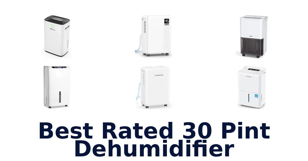 Best Rated 30 Pint Dehumidifier