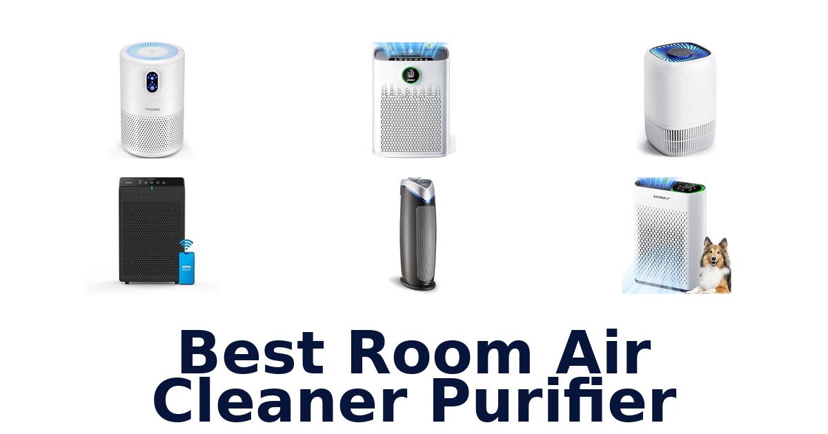 Best Room Air Cleaner Purifier