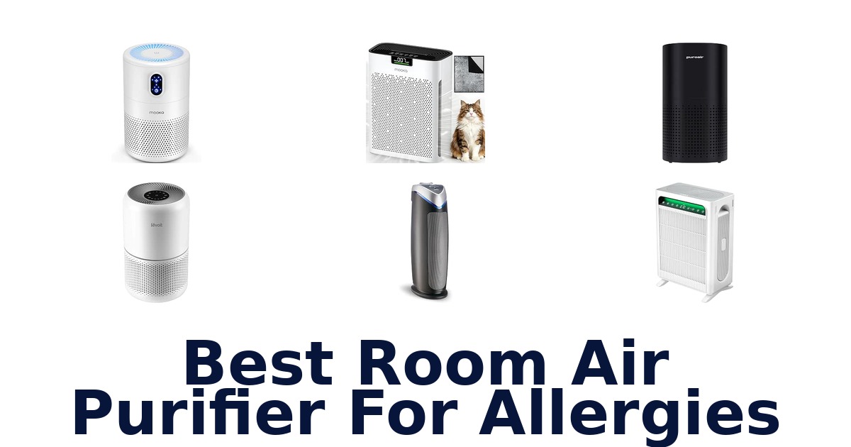 Best Room Air Purifier For Allergies
