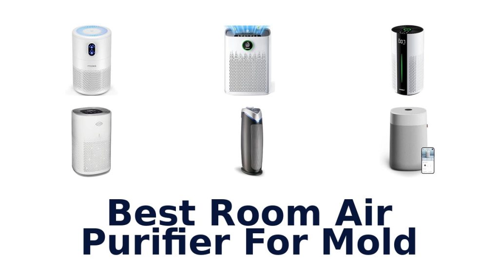 Best Room Air Purifier For Mold