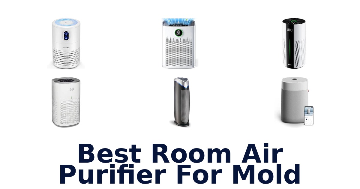 Best Room Air Purifier For Mold