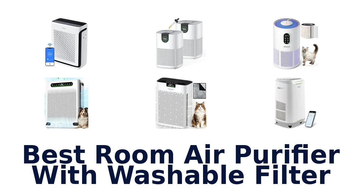 Best Room Air Purifier With Washable Filter