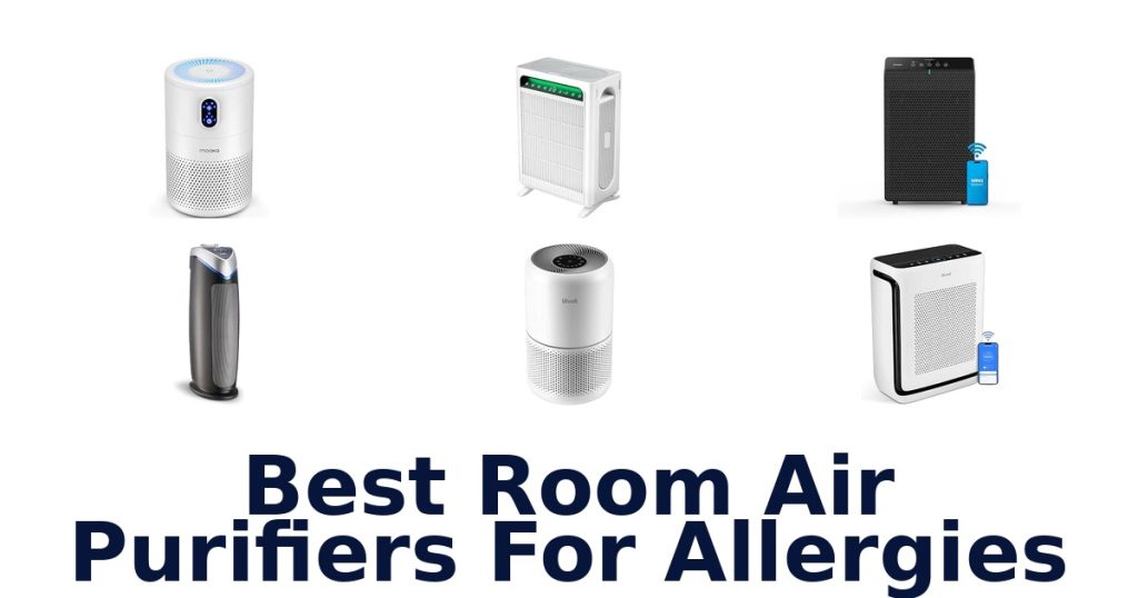 Best Room Air Purifiers For Allergies