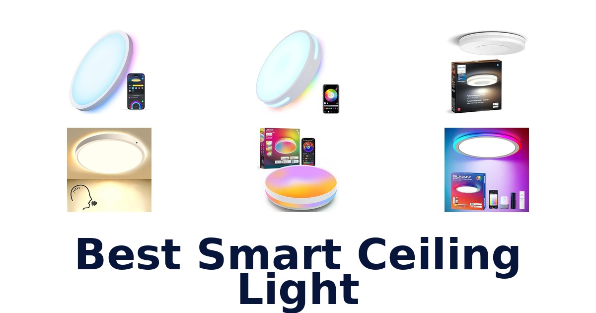 Best Smart Ceiling Light