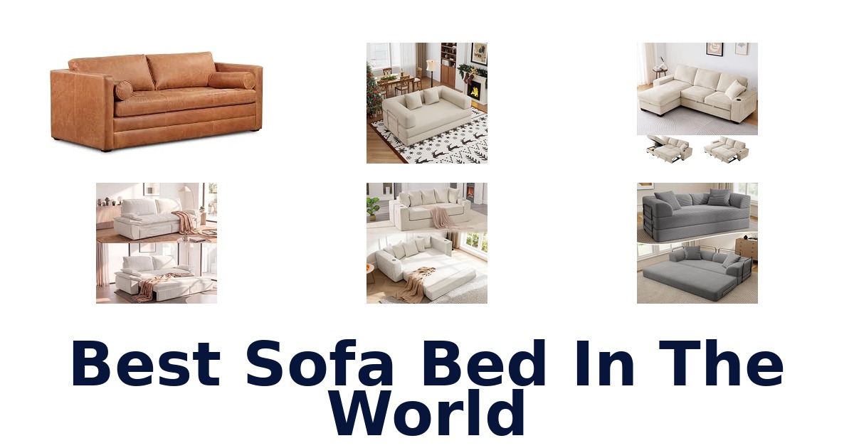 Best Sofa Bed In The World