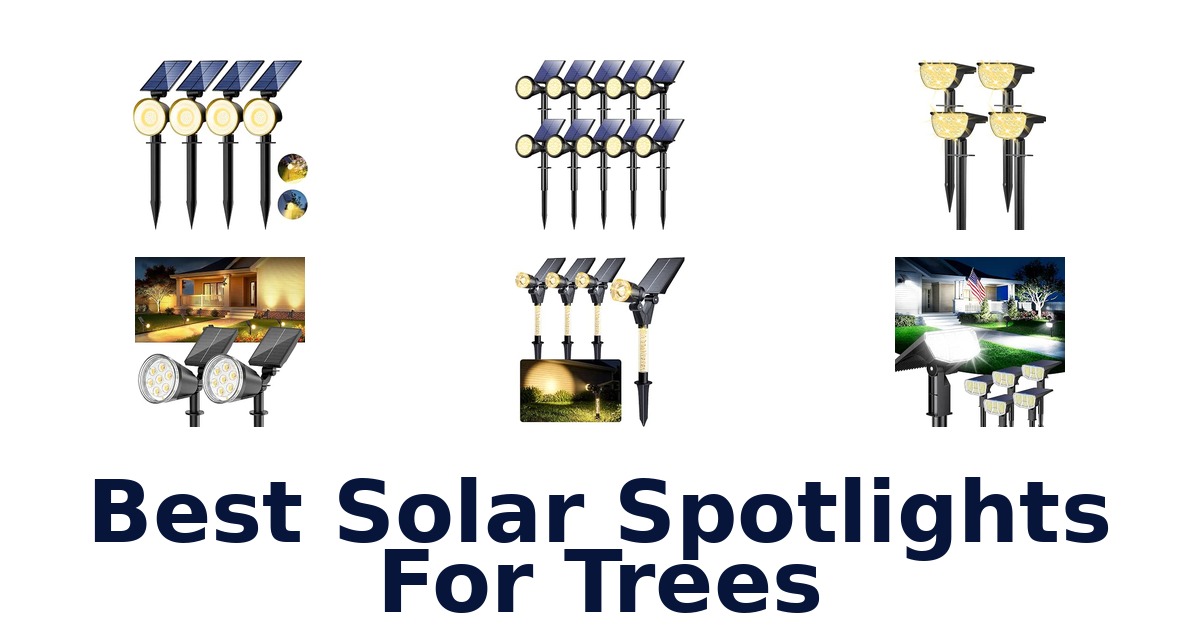 Best Solar Spotlights For Trees