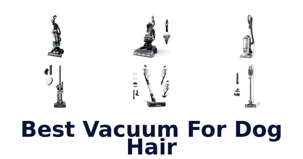 Best Vacuum For Dog Hair