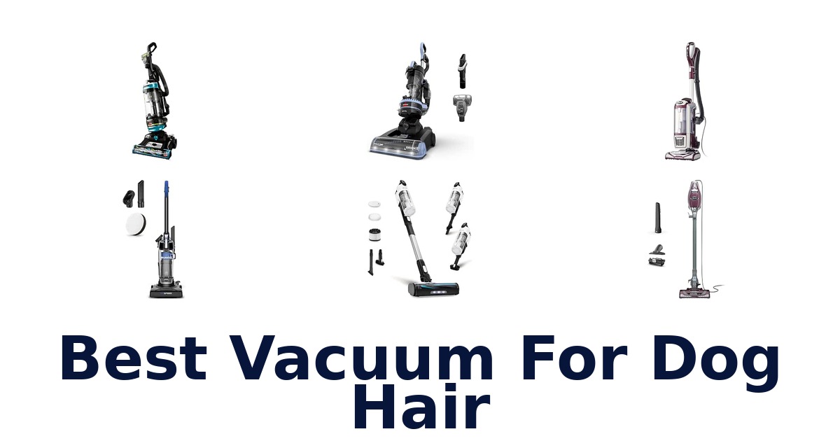 Best Vacuum For Dog Hair