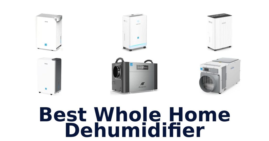 Best Whole Home Dehumidifier