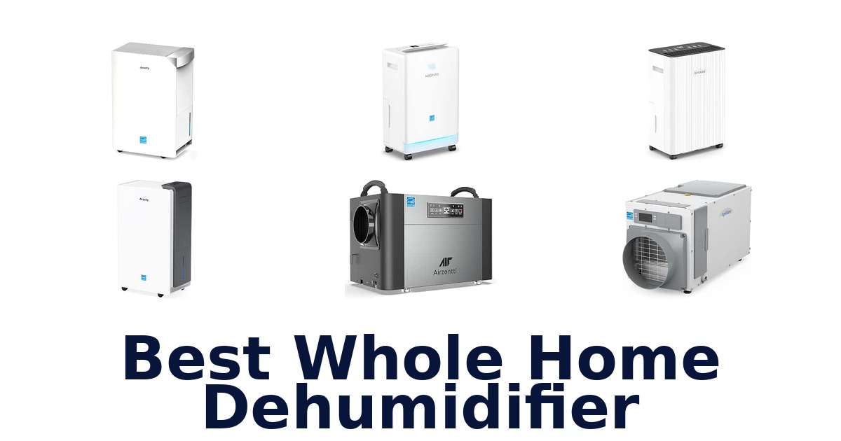 Best Whole Home Dehumidifier
