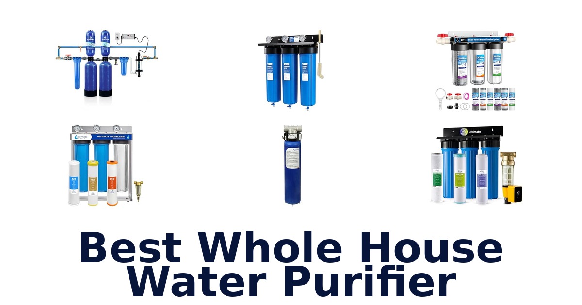 Best Whole House Water Purifier