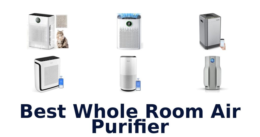 Best Whole Room Air Purifier