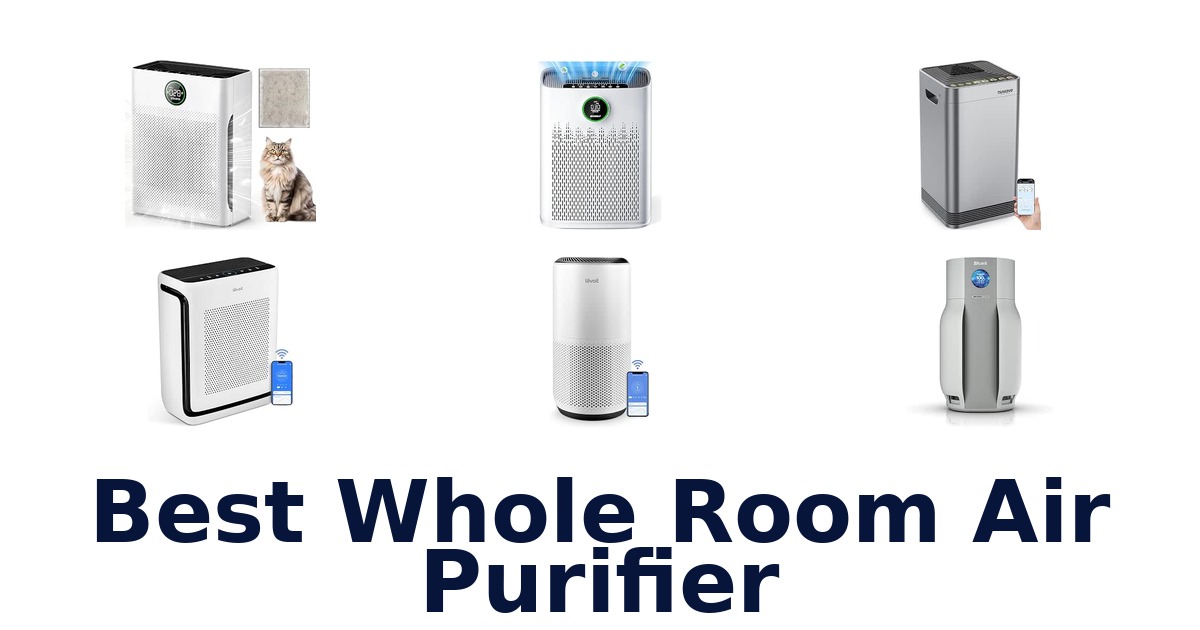 Best Whole Room Air Purifier