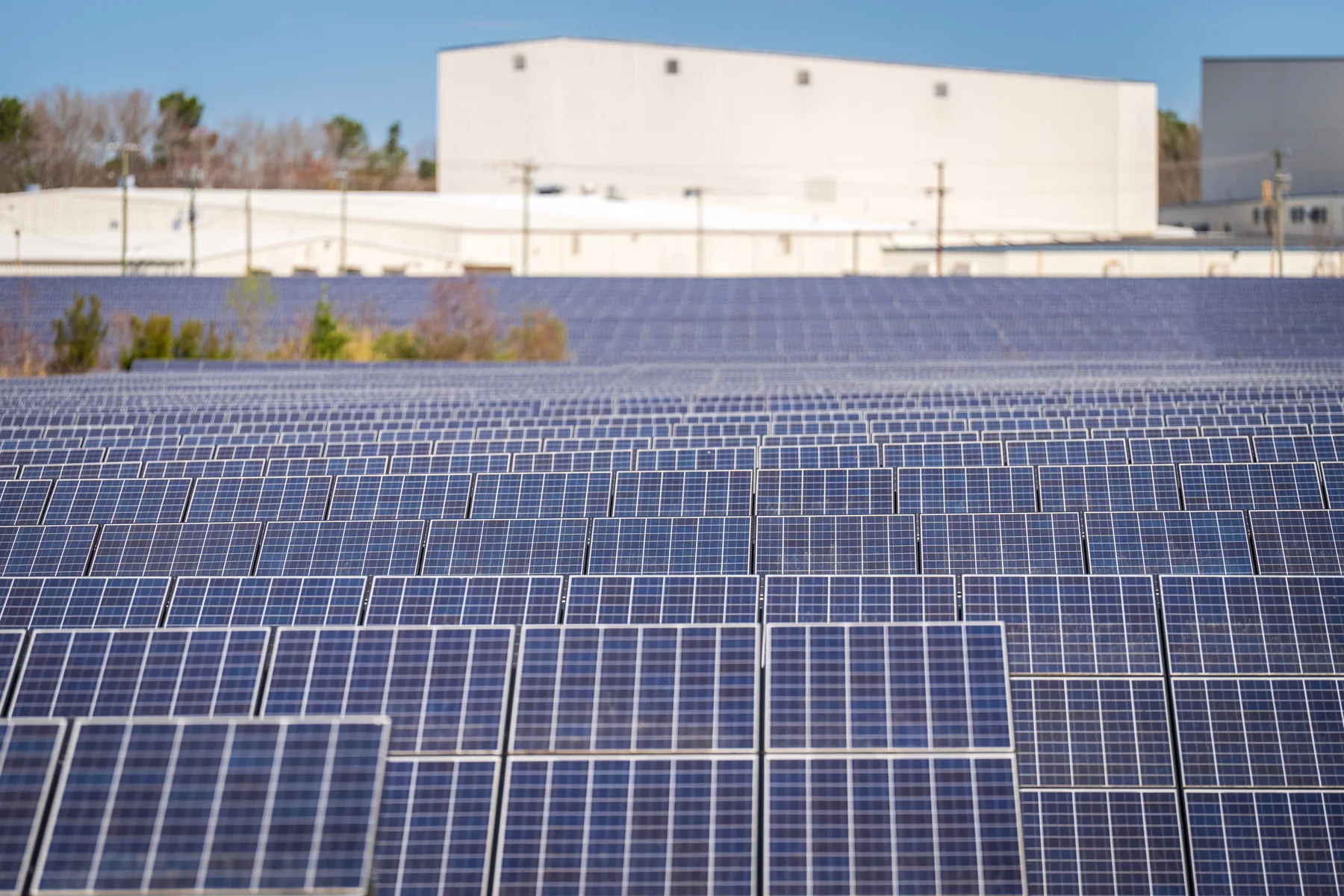 Expansive solar array illustrating commercial-scale infrastructure